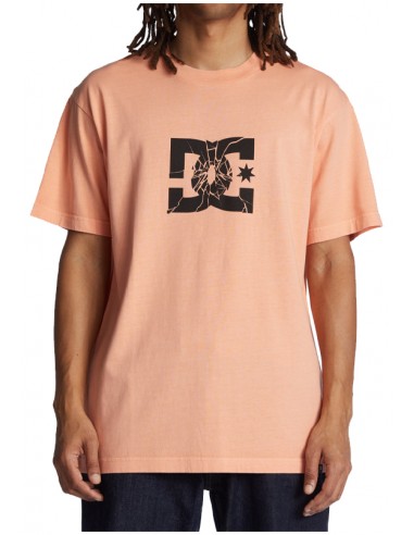 DC Shatter SS MFQW - Camiseta