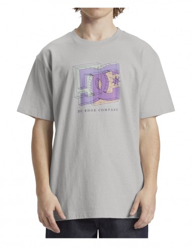 DC Fine Art HSS Gray - Camiseta